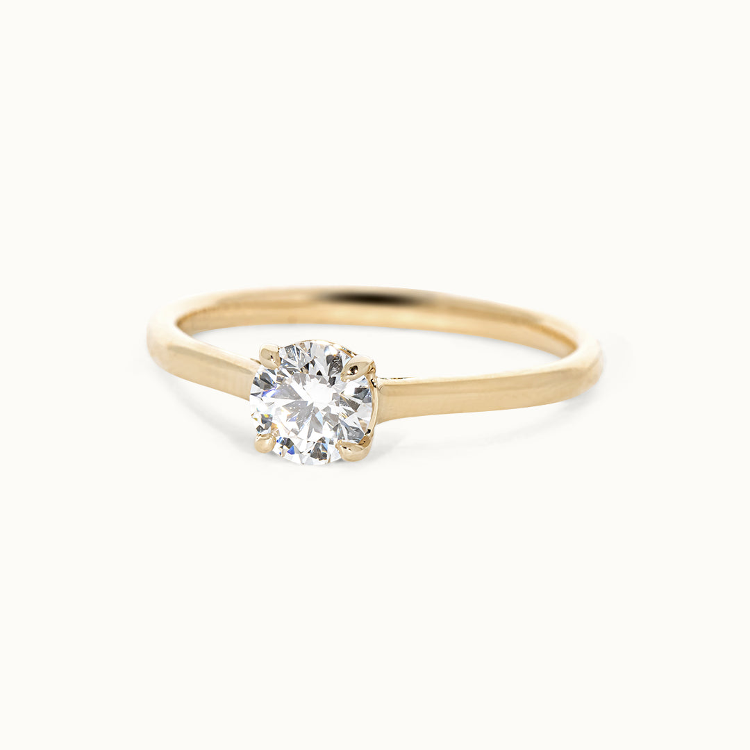 Briljant Geslepen 0.5 ct Ring