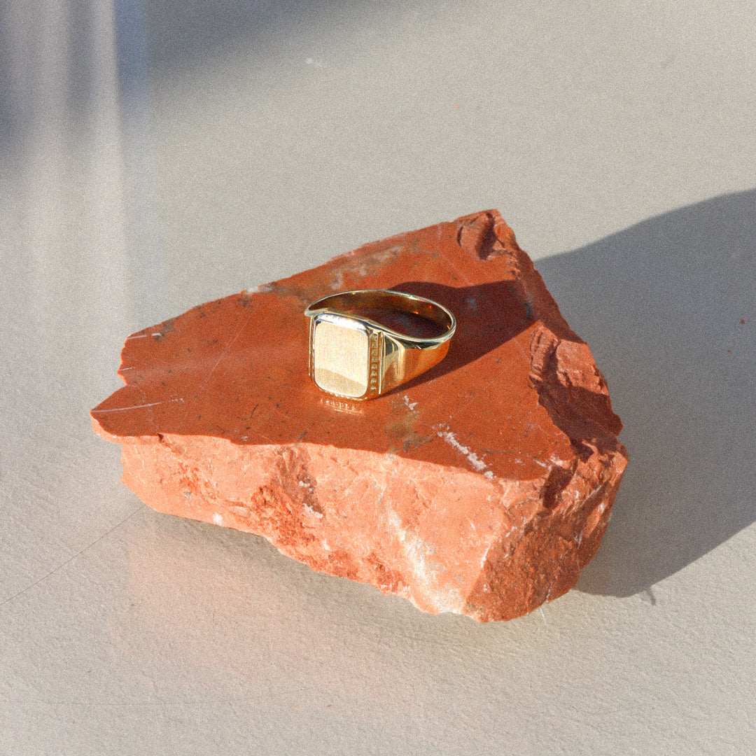 Carly | AVJ Gedetailleerde Zegel