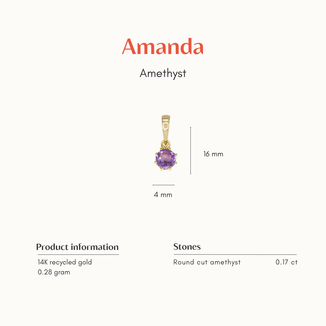 The Amanda | 14K Hanger Amethist Rond