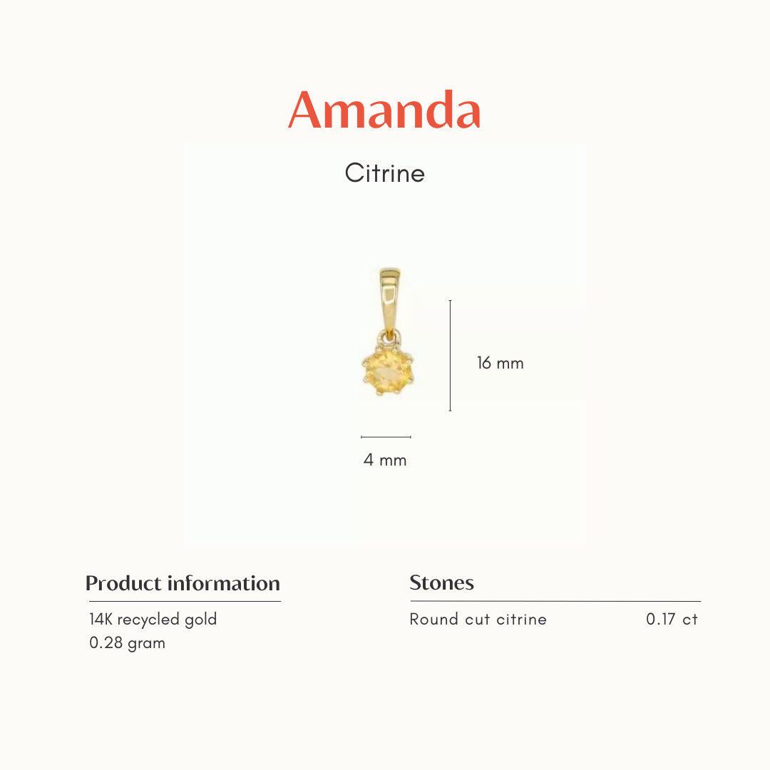 The Amanda | 14K Hanger Citrien Rond