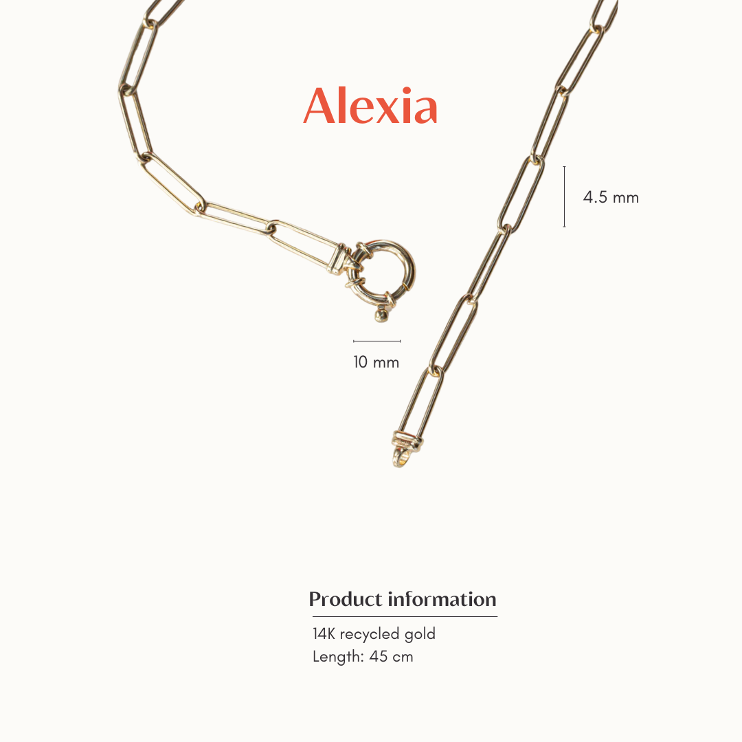 Alexia | 14K Paperclip Collier