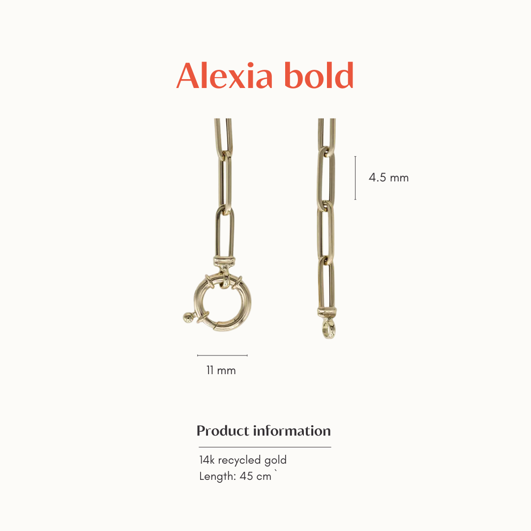 Alexia | 14K Paperclip Bold Necklace