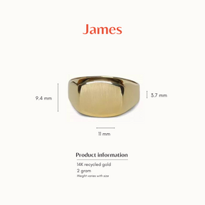 James 9K Yellow Signet Ring