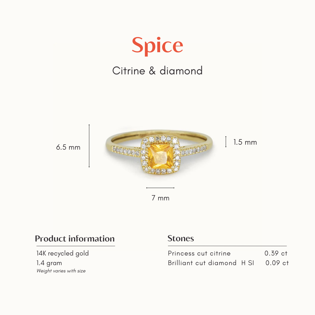 Spice | 14K Orange Garnet & Diamond