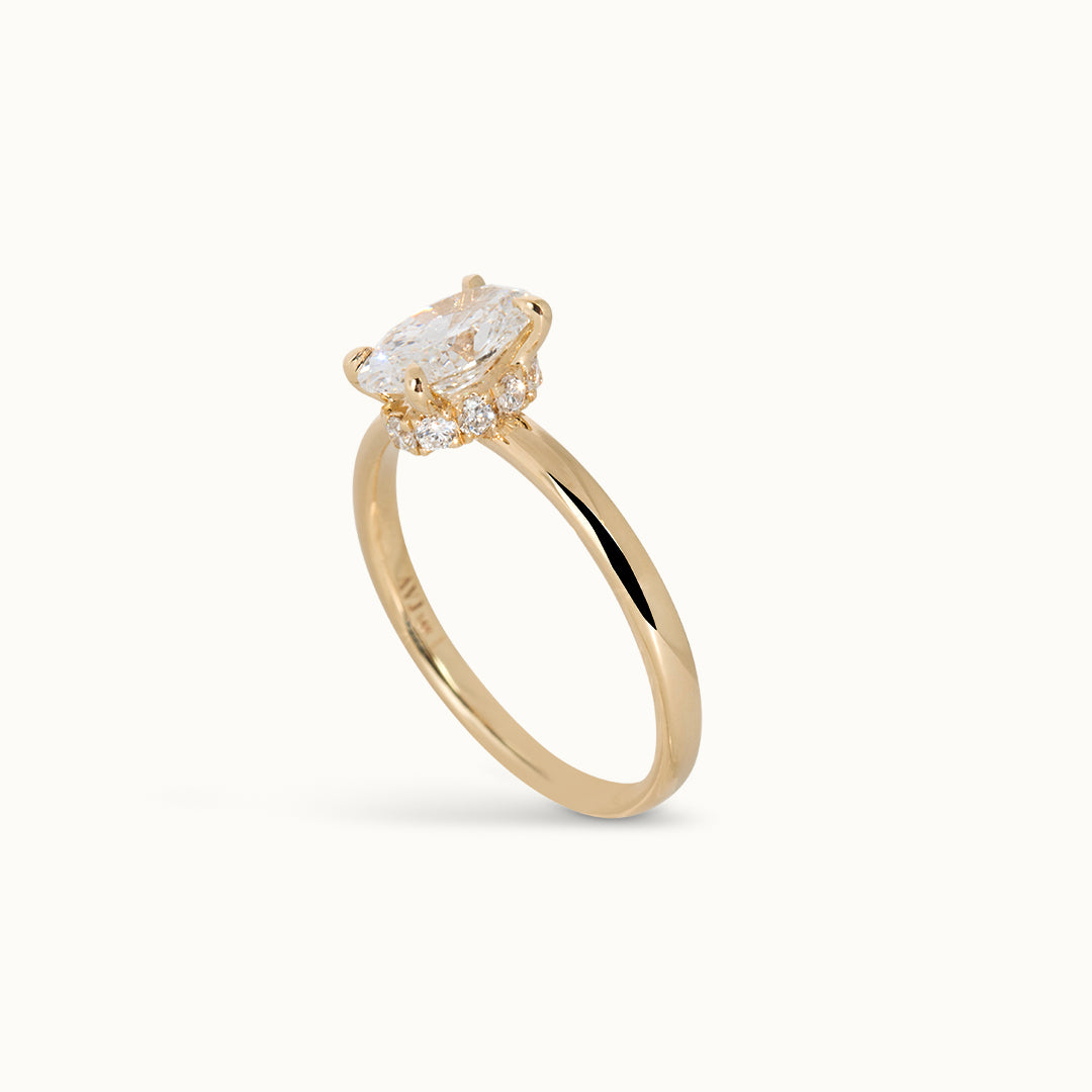 Oval Cut 1 ct with Hidden Halo