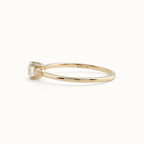 Diamant Briljant Trilogy