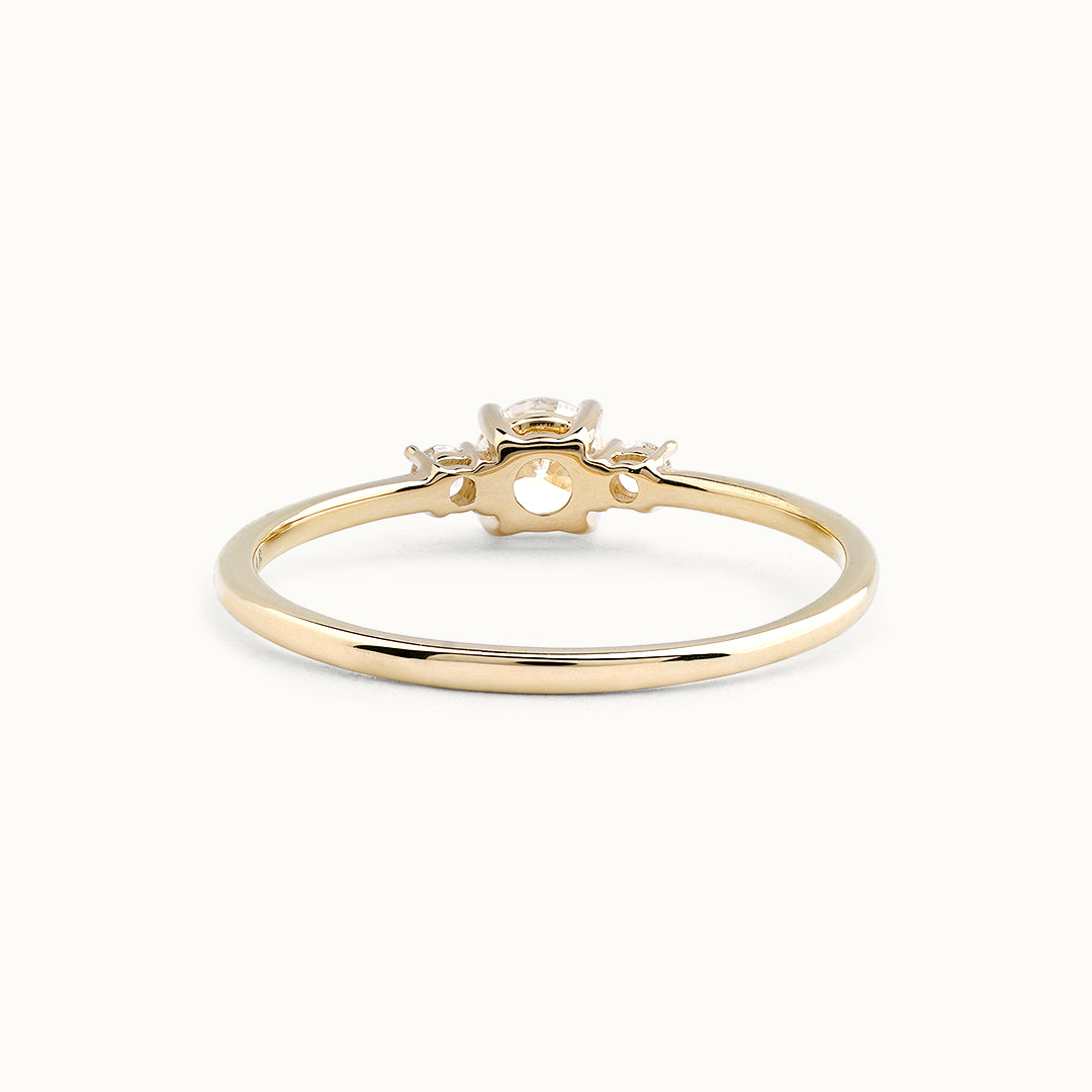 Diamant Briljant Trilogy