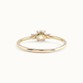 Diamant Briljant Trilogy