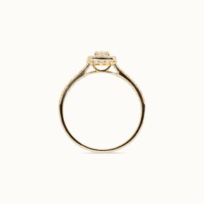 Halo Pavé Briljant geslepen Ring