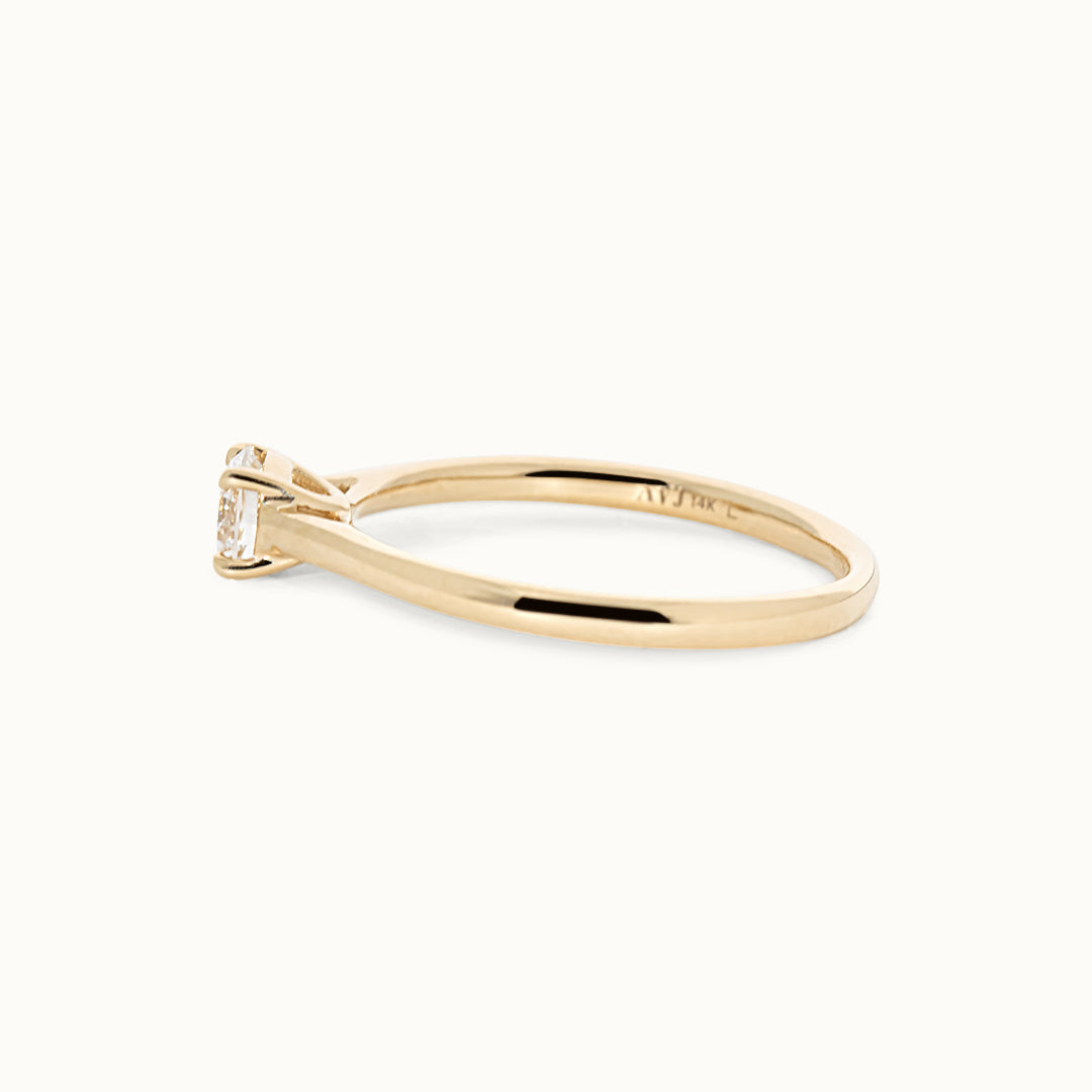 Briljant Geslepen 0.19 ct Ring