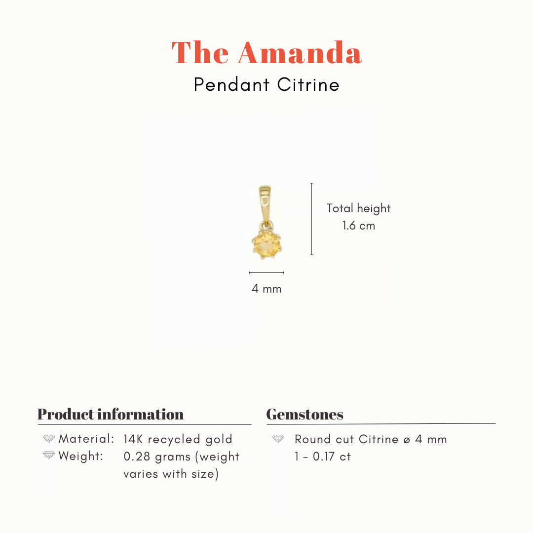 The Amanda | 14K Hanger Citrien Rond